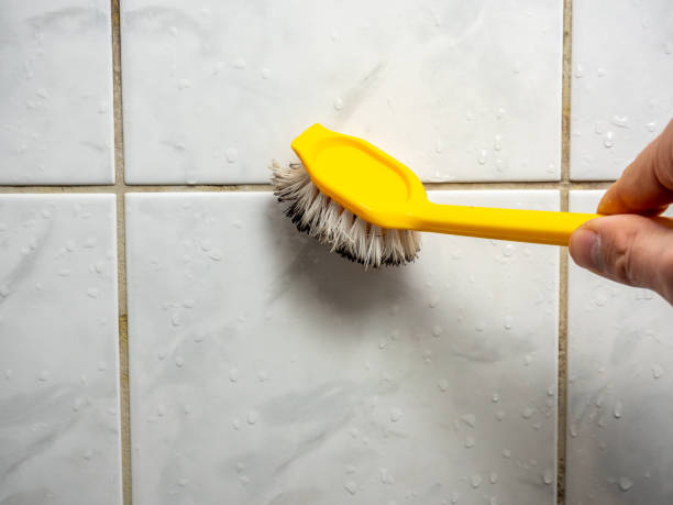 Best Best Mold Removal Companies  in Henderson, GA