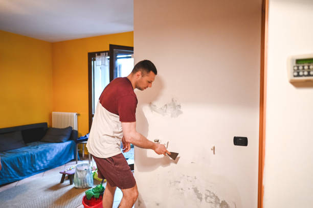 Best Fast Mold Removal  in Henderson, GA